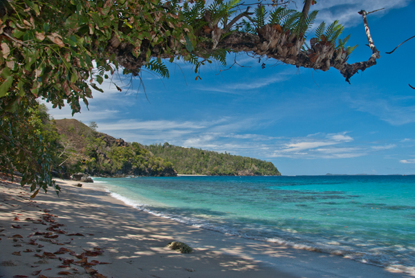 SCENERY Beach`SB 112